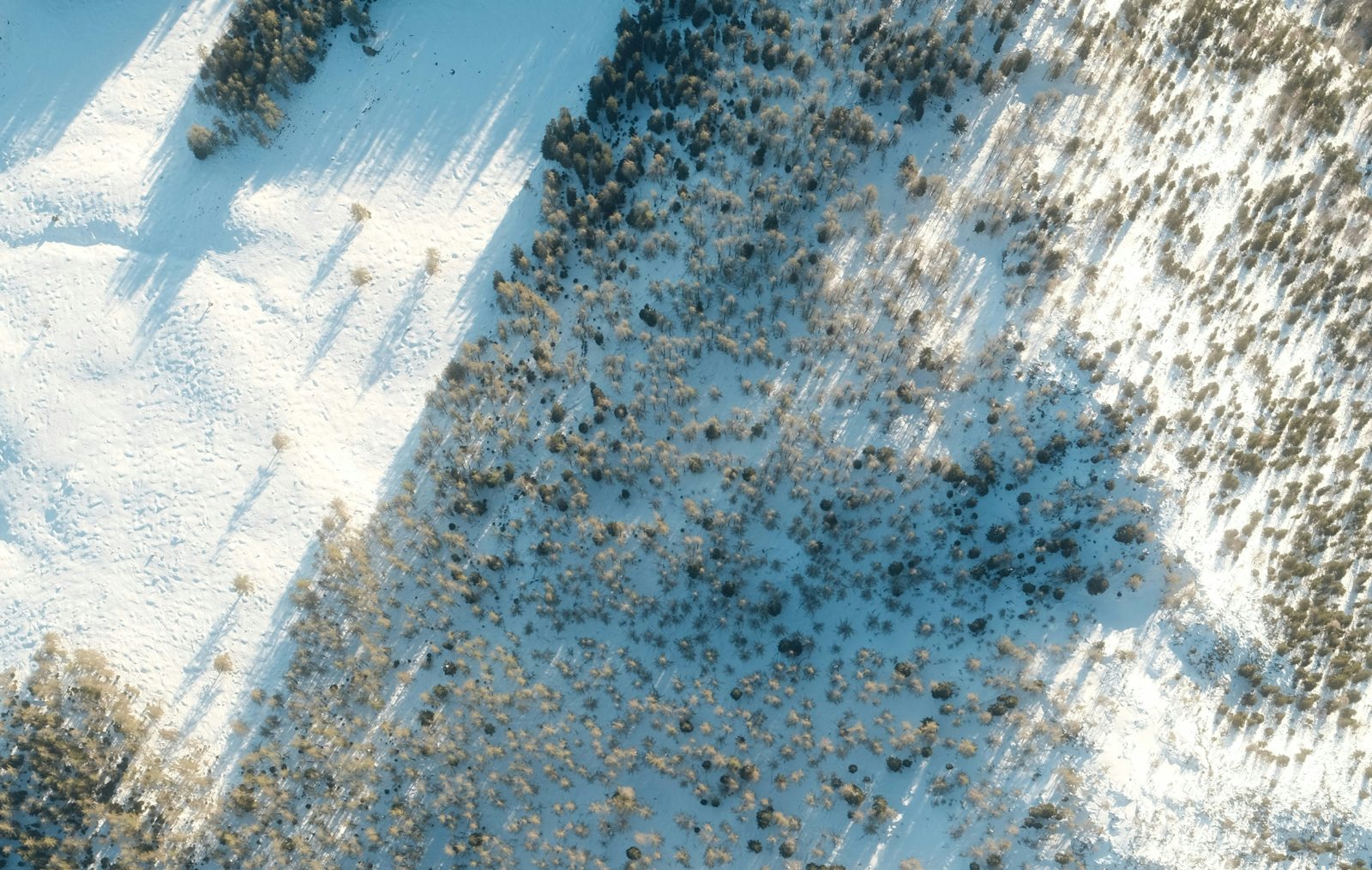 Snow-covered forest aerial